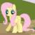Size: 400x400 | Tagged: safe, edit, edited screencap, editor:twilyisbestpone, imported from derpibooru, screencap, fluttershy, butterfly, pegasus, pony, fake it 'til you make it, filli vanilli, flutter brutter, fluttershy leans in, friendship is magic, hearth's warming eve (episode), magical mystery cure, my little pony: the movie, season 1, season 2, season 3, season 4, season 5, season 6, season 7, season 8, season 9, she's all yak, the cutie map, spoiler:s08, spoiler:s09, :t, ^^, absurd file size, absurd gif size, alternate hairstyle, animated, badass, bashful, beautiful, c:, clothes, compilation, cute, daaaaaaaaaaaw, dreamworks face, eye shimmer, eyebrows, eyes closed, female, floppy ears, flutterbadass, flutterbob, flutterguy, fluttershy's cottage, folded wings, frown, gif, glasses, hat, headbob, hipster, hipstershy, hnnng, horses doing horse things, lidded eyes, looking down, loop, mare, one eye closed, party soft, pawing the ground, puppy dog eyes, raised eyebrow, shifty eyes, shy, shyabetes, smiling, smirk, smug, smugshy, sweet dreams fuel, walking, wall of tags, weapons-grade cute, wide eyes, wings, wink