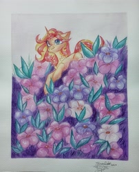 Size: 3072x3804 | Tagged: safe, artist:jsunlight, imported from derpibooru, sunset shimmer, pony, unicorn, solo, traditional art