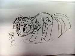 Size: 4160x3120 | Tagged: safe, artist:dhm, imported from derpibooru, twilight sparkle, pony, cute, flower, monochrome, sketch, solo, traditional art