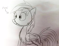 Size: 3398x2628 | Tagged: safe, artist:dhm, imported from derpibooru, rainbow dash, pony, bewilderment, monochrome, poni, sketch, solo, text, traditional art