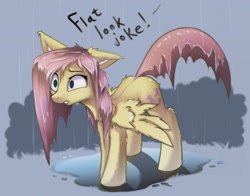 Size: 2707x2126 | Tagged: safe, artist:breakdream, imported from derpibooru, fluttershy, pegasus, pony, chest fluff, female, fluffy, implied rainbow dash, mare, prank, solo, tail, wet, wet mane, wet tail