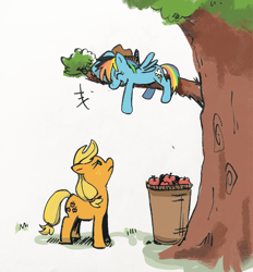 Size: 2890x3113 | Tagged: safe, artist:pipicangshuya32397, imported from derpibooru, applejack, rainbow dash, earth pony, pegasus, pony, annoyed, apple, basket, duo, female, food, mare, smiling, tree