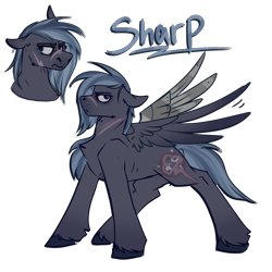 Size: 2300x2300 | Tagged: safe, artist:molars, imported from derpibooru, oc, oc only, oc:sharp shadows, pegasus, pony, fallout equestria, ashes town, augmentation, dashite, doodle, eyebrow piercing, female, mare, piercing, reference sheet, scar, simple background, solo, transparent background, unshorn fetlocks