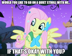 Size: 641x499 | Tagged: safe, edit, edited screencap, imported from derpibooru, screencap, fluttershy, the best night ever, bronybait, caption, clothes, dress, gala dress, image macro, imgflip, talking to viewer, text