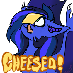 Size: 573x575 | Tagged: safe, artist:fluffyghost, imported from derpibooru, oc, oc only, oc:guard cobalt flash, bat pony, bat pony oc, bat wings, cheese, commission, food, tongue out, wings, ych result