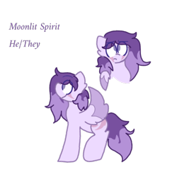 Size: 720x720 | Tagged: safe, artist:not-important, imported from derpibooru, oc, oc only, oc:moonlit spirit, pegasus, pony, eye scar, facial scar, pegasus oc, ponified, reference sheet, scar, simple background, transparent background, wings