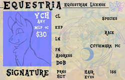 Size: 1656x1064 | Tagged: safe, imported from derpibooru, oc, oc only, advertisement, card, commission, commission info, flag of equestria, halfbody, id card, license, logo, ych sketch, your character here