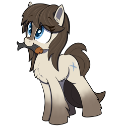 Size: 1500x1500 | Tagged: safe, artist:maretian, imported from derpibooru, oc, oc only, oc:frosty flakes, earth pony, fish, pony, chest fluff, cute, ear fluff, eye clipping through hair, female, food, mare, meat, mouth hold, ocbetes, ponies eating meat, simple background, solo, transparent background, yakutian horse