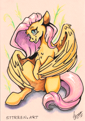 Size: 3456x4904 | Tagged: safe, artist:stirren, imported from derpibooru, fluttershy, pegasus, full body, looking at you, scan, traditional art, wings