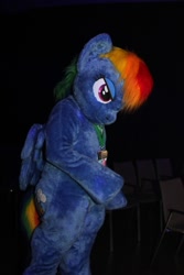 Size: 600x900 | Tagged: safe, artist:atalonthedeer, imported from derpibooru, rainbow dash, 2015, eurofurence, fursuit, irl, night, photo, ponysuit, solo