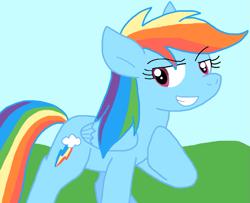 Size: 931x756 | Tagged: safe, artist:cmara, imported from derpibooru, rainbow dash, pegasus, female, solo