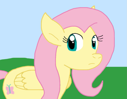 Size: 877x689 | Tagged: safe, artist:cmara, imported from derpibooru, fluttershy, pegasus, female, solo