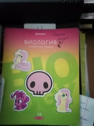 Size: 3000x4000 | Tagged: safe, imported from derpibooru, fluttershy, pinkie pie, earth pony, pegasus, pony, :p, biology, book, graph paper, irl, notebook, photo, skull, sticker, tongue out