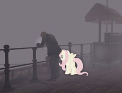 Size: 750x569 | Tagged: safe, imported from derpibooru, fluttershy, human, pegasus, pony, contrast, crossover, duo, female, game screencap, james sunderland, mare, rear view, silent hill