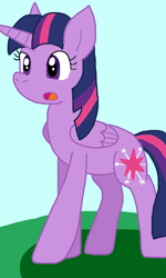 Size: 640x1064 | Tagged: safe, artist:cmara, imported from derpibooru, twilight sparkle, alicorn, female, solo, solo female, twilight sparkle (alicorn)