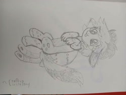 Size: 4080x3060 | Tagged: safe, artist:craftycirclepony, imported from derpibooru, oc, oc only, cute, female, lying down, pencil drawing, sketch, solo, tongue out, traditional art