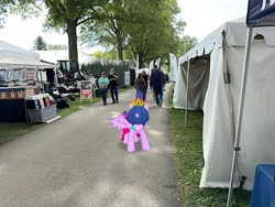 Size: 2016x1512 | Tagged: safe, imported from derpibooru, twilight sparkle, dutchess county fair, new york, rhinebeck