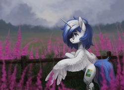 Size: 2747x2000 | Tagged: safe, artist:koviry, imported from derpibooru, oc, oc only, alicorn, pony, alicorn oc, fence, field, flower, high res, horn, overcast, solo, wings