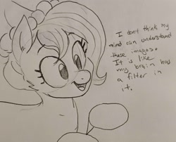 Size: 2680x2161 | Tagged: safe, artist:pony quarantine, imported from derpibooru, oc, oc only, oc:brownie bun, earth pony, pony, description is relevant, dialogue, female, grayscale, mare, monochrome, open mouth, open smile, pencil drawing, smiling, solo, traditional art