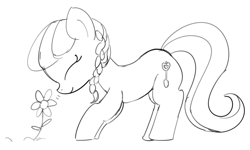 Size: 1713x1031 | Tagged: safe, artist:templatepony, imported from derpibooru, silver spoon, earth pony, pony, eyes closed, female, filly, flower, foal, simple background, sketch, sniffing, solo, white background