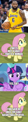 Size: 500x2178 | Tagged: safe, edit, edited screencap, imported from derpibooru, screencap, fluttershy, twilight sparkle, alicorn, basketball, comic, lebron james, screencap comic, sports, twilight sparkle (alicorn)