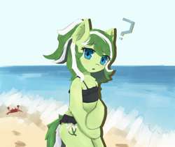 Size: 1896x1600 | Tagged: safe, artist:cunben_mapleleaf, imported from derpibooru, oc, oc only, oc:amagi, earth pony, beach, bipedal, clothes, looking at you, ocean, question mark, solo, swimsuit, water