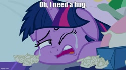 Size: 888x499 | Tagged: safe, imported from derpibooru, screencap, twilight sparkle, school daze, bronybait, caption, crying, hugs needed, image macro, imgflip, text