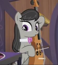 Size: 550x620 | Tagged: safe, imported from derpibooru, screencap, octavia melody, earth pony, pony, season 5, slice of life (episode), bipedal, cello, cropped, musical instrument, solo, surprised