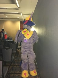 Size: 1200x1600 | Tagged: safe, artist:spainfischer, imported from derpibooru, twilight sparkle, alicorn, human, 2019, fursuit, indoors, irl, irl human, jewelry, midwest furfest, photo, ponysuit, regalia, solo focus, twilight sparkle (alicorn)