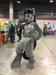 Size: 1200x1600 | Tagged: safe, imported from derpibooru, octavia melody, human, 2019, fursuit, hoof on chin, indoors, irl, irl human, midwest furfest, photo, ponysuit, pose, solo focus