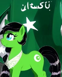 Size: 384x476 | Tagged: safe, oc, pony, nation ponies, pakistan, ponified, solo