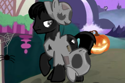 Size: 750x500 | Tagged: safe, imported from derpibooru, oc, oc:black rock cotton core, earth pony, pony, clothes, mlp fim's fourteenth anniversary, nightmare night, photo, solo