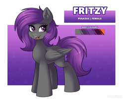 Size: 2800x2240 | Tagged: safe, alternate version, artist:madelinne, imported from derpibooru, oc, oc only, oc:fritzy, pegasus, female, mare, purple eyes, purple hair, reference sheet