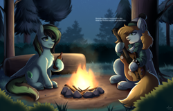 Size: 3120x2000 | Tagged: safe, artist:alunedoodle, imported from derpibooru, oc, oc only, oc:sketchy shades, oc:weo, pegasus, pony, beanie, bottle, campfire, clothes, duo, forest, guitar, hat, jewelry, male, musical instrument, nature, necklace, piercing, plaid shirt, playing guitar, playing instrument, shirt, singing, smiling, spiked wristband, tail, tree, two toned mane, two toned tail, wristband