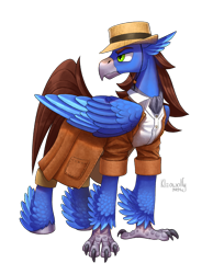 Size: 1687x2169 | Tagged: safe, artist:kleowolfy, imported from derpibooru, oc, oc only, oc:cresting wave, classical hippogriff, hippogriff, clothes, hat, hippogriff oc, jacket, simple background, solo, transparent background