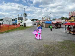 Size: 2016x1512 | Tagged: safe, imported from derpibooru, twilight sparkle, alicorn, pony, dutchess county fair, irl, new york, photo, ponies in real life, rhinebeck, twilight sparkle (alicorn)