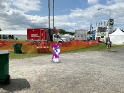 Size: 2016x1512 | Tagged: safe, imported from derpibooru, rarity, pony, dutchess county fair, irl, new york, photo, ponies in real life, rhinebeck