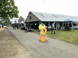 Size: 2016x1512 | Tagged: safe, imported from derpibooru, applejack, pony, dutchess county fair, irl, new york, photo, ponies in real life, rhinebeck