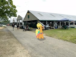 Size: 2016x1512 | Tagged: safe, imported from derpibooru, applejack, pony, dutchess county fair, irl, new york, photo, ponies in real life, rhinebeck