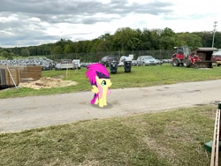 Size: 2016x1512 | Tagged: safe, imported from derpibooru, fluttershy, pony, dutchess county fair, irl, new york, photo, ponies in real life, rhinebeck