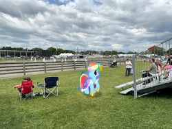 Size: 2016x1512 | Tagged: safe, imported from derpibooru, rainbow dash, pony, dutchess county fair, irl, new york, photo, ponies in real life, rhinebeck