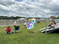 Size: 2016x1512 | Tagged: safe, imported from derpibooru, rainbow dash, pony, dutchess county fair, irl, new york, photo, ponies in real life, rhinebeck