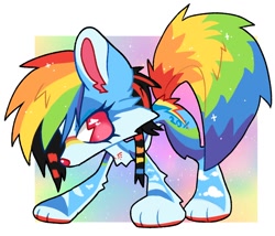 Size: 1184x1012 | Tagged: safe, artist:mawssacre, imported from derpibooru, rainbow dash, dog, coontails, dogified, multicolored hair, rainbow dog, rainbow hair, rainbow tail, scene hair, scene kid, solo, species swap, tail