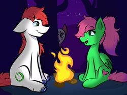 Size: 2048x1535 | Tagged: safe, artist:doodle-hooves, oc, oc only, pony, campfire, duo, duo female, female, looking at each other, male, mare, night, stallion