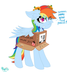 Size: 4096x4096 | Tagged: safe, artist:vinyvitz, derpibooru exclusive, imported from derpibooru, rainbow dash, pegasus, pony, box, ear fluff, eyelashes, female, grammar, grammar error, hairpin, halloween, holiday, jack-o-lantern, looking at you, marker drawing, mlp fim's fourteenth anniversary, multicolored hair, multicolored tail, polish, pony in a box, pumpkin, qr code, simple background, smiling, solo, speech, spread wings, standing, tail, talking, text, traditional art, transparent background, wings