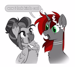Size: 4096x3660 | Tagged: safe, artist:opalacorn, imported from derpibooru, oc, oc only, oc:silver stream, oc:void, alicorn, pegasus, pony, zebra, bust, dialogue, duo, duo male and female, female, grin, male, mare, nose piercing, nose ring, open mouth, open smile, palette swap, piercing, recolor, simple background, smiling, stallion, white background, zebra oc