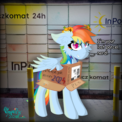 Size: 4096x4096 | Tagged: safe, artist:vinyvitz, derpibooru exclusive, imported from derpibooru, rainbow dash, pegasus, pony, background, box, ear fluff, eyelashes, female, grammar, grammar error, hairpin, halloween, holiday, jack-o-lantern, looking at you, marker drawing, mlp fim's fourteenth anniversary, multicolored hair, multicolored tail, polish, pony in a box, pumpkin, qr code, smiling, solo, speech, spread wings, standing, tail, talking, text, traditional art, wings