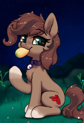 Size: 832x1216 | Tagged: safe, anonymous artist, imported from derpibooru, oc, oc only, oc:scarfy bat-heart, earth pony, pony, ai assisted, ai content, brown coat, brown mane, brown tail, chest fluff, cutie mark, ear fluff, eating, eyebrows, eyebrows visible through hair, eyes open, female, female oc, food, grass, happy, jewelry, mango, mare, necklace, night, raised hoof, sitting, smug, solo, stars, tail