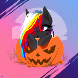 Size: 2500x2500 | Tagged: safe, artist:darky_wings, imported from derpibooru, oc, oc only, oc:darky wings, pegasus, pony, commission, gradient background, halloween, halloween 2024, holiday, pumpkin, solo, ych example, your character here