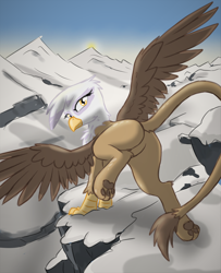 Size: 4022x4947 | Tagged: safe, artist:pzkratzer, imported from derpibooru, gilda, griffon, butt, cute, featureless crotch, female, gildadorable, gildonk, landing, looking back, mountain, paws, sketch, snow, solo, underpaw